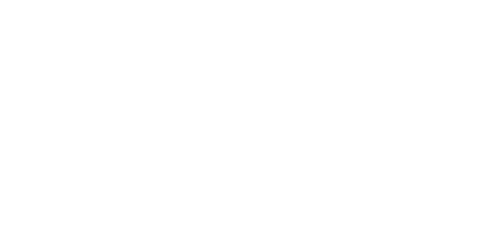 Lingotek-Straker-White-svg